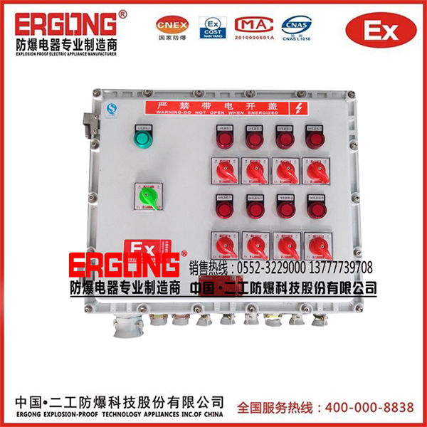 粉塵車間專用防爆配電箱控制箱